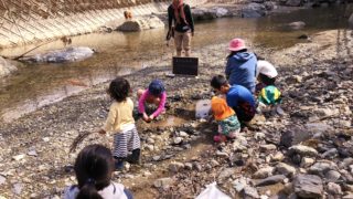 【演奏動画あり】レポート「森と水の循環を学ぶ ごろんコンサート＠豊後大野市」