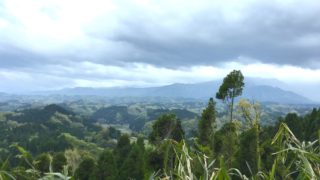 旅猫タカモリのふるさとへ。カルデラの中の野菜スイーツカフェ。森の旅660日目、熊本県阿蘇郡高森町。