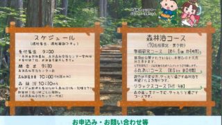 【長野】5/27（日）森林浴発祥の地でごろんコンサート！！＠赤沢自然休養林