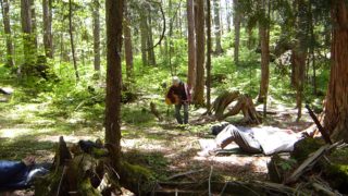 【演奏動画あり】レポ「森林浴発祥の地でごろんコンサート＠赤沢自然休養林」