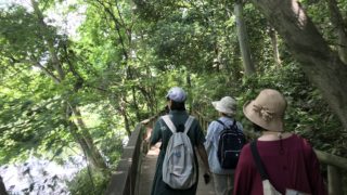 「sense of wonderさんぽ」ってすごいよ！＠練馬区石神井公園！