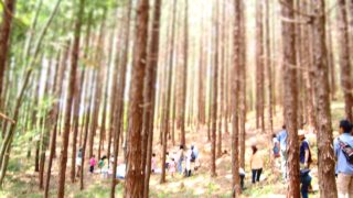 なぜ土砂崩れが起きやすいのか？主婦だからできる森の為の5つのこと。