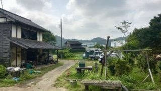 いなくなってしまうゲンゴロウやクモ達のこと。埼玉～栃木の美味しかったもの。森の旅781日目。