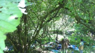 まるで屋久島のような大自然の中で。レポート「ごろんコンサート＠山のようちえん」栃木県鹿沼市