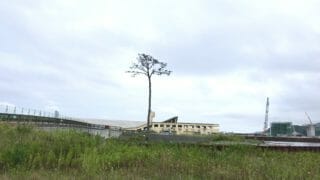 津波の跡にできるもの。陸前高田「奇跡の一本松」～仙台「千年希望の丘」
