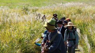 絵本の力、歌の力で種を学ぶ！レポート「絵本の世界に飛び込もう～親子でひらくセンスオブワンダー」＠大分県九重町