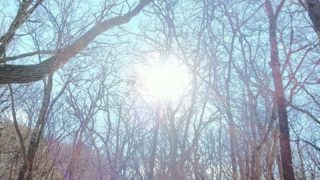 宿泊客を森に連れ出そう。ホテルのオプションツアーとして、ごろんコンサートしてみました！