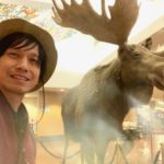 アンカレッジ空港のムース