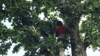 病気が僕たちに必要な理由。健康と病気の境を無くせ！