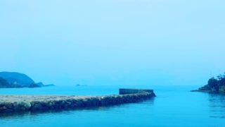 保護中: ひとつながりの水の旅、解説！