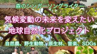 【メンバー募集】森のシンガーソングライターコミュニティ！地球自然化SDGsプロジェクト！