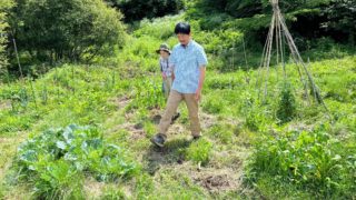 パーマカルチャーが学べる自然学校！八ヶ岳「風と土の自然学校」