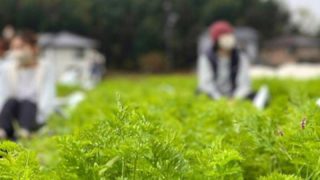 愛知県の農地で、地球からのごちそうでした！
