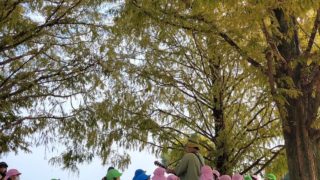 音楽×自然体験コンサート！アイリスこども園さん、ありがとうございました！