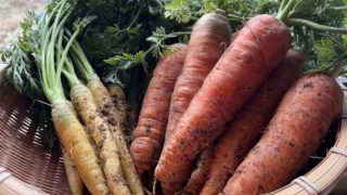 2月の「地球にやさしいグッズ会員」プレゼント！