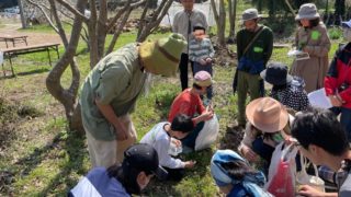 アニマnetさんでの野草コンサート、最高でした！！