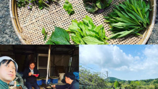 イベントレポ/ 風の草刈りと、食べられる野草講座