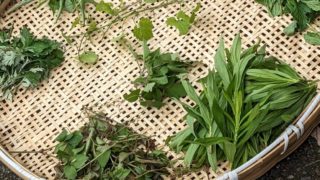 人が農地に集う理由、出会いたいと思うこと。