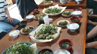 イベントレポ！岩手県北上市、食べられる野草講座＆大地に寝転ぶコンサート！