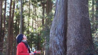 個人向けプログラムのご案内