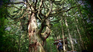 自然にリスペクトすると、生き方の手本をくれる。
