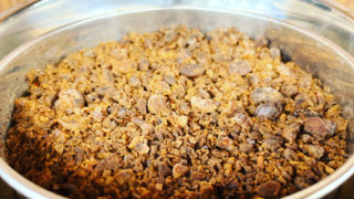 いよいよクヌギでどんぐりコーヒー、試作品プレゼント