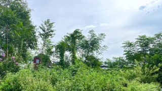 これは財産なんだ。