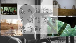 楽曲プレゼント「君の傘と僕の種」