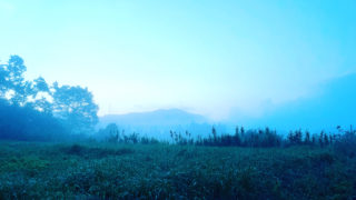 生態系保全と祈り