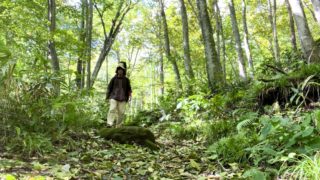 蔦沼に行って来ました！