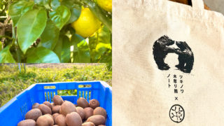 地球にやさしいグッズ会員、11月のプレゼントはコチラ！