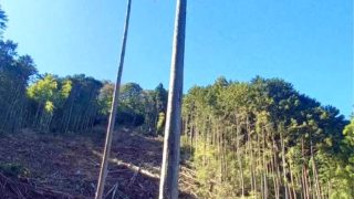 【イベントレポ】森の始まりを歌で祝う。