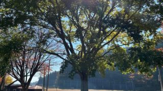 【イベントレポ】祈りの後で自然を見ると、世界は最高に美しい。