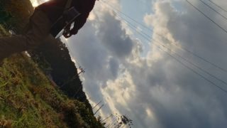 【イベントレポ】どんぐりコーヒー作りと、大地に寝転ぶコンサート＠佐伯市