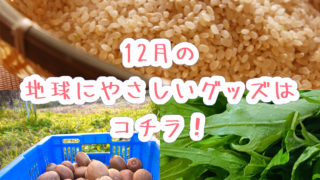 地球にやさしいグッズ、12月はコチラ！