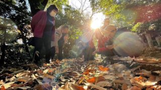 【イベントレポ】農園ランチと里山歩き、大地に寝転ぶコンサート@愛知県日進市