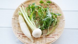 【オンライン】1/22(月) 23(火) 食べられる野草講座、春の七草編～見分け方から調理まで！