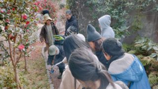 イベントレポ「街歩き×野草探し×音楽」@多摩市