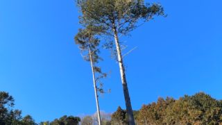 イベントレポ！東京で裏山再生コンサート@青梅市