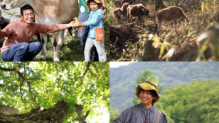 【長野】4/26(土) 親子ミュージックハイキング！（食べられる野草さがし）＠根羽村