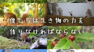 何でもない土地を守る。