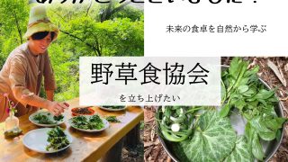 クラウドファンディング終了！ありがとうございました！