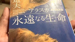 人間は偉くなくていい。自然が素晴らしいことを伝えたい。