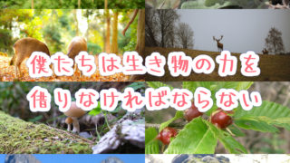 僕たちは生き物の力を借りなければならない。