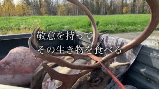 星野道夫さんの言葉