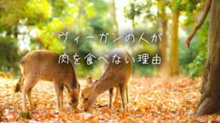 なぜヴィーガンの人は肉を食べないのか？