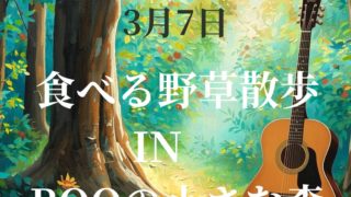 【長崎】3/7(土) 食べる野草散歩@佐世保市江迎町