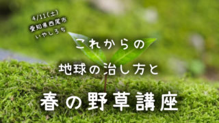 【愛知】4/11(土)地球の治し方を学ぶ~食べられる野草料理と、気候変動時代の生き方マニュアル@西尾市