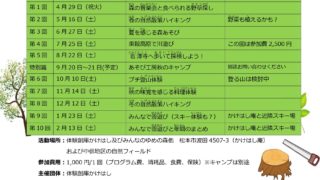 【長野】4/29(水祝)かけはしあそび工房で「森の音楽会と食べられる野草さがし」＠松本市