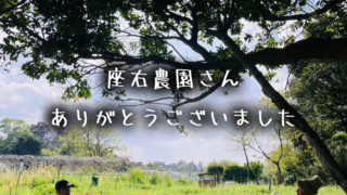 フィールドの美しさは自然のバランスの良さ@鹿児島座右農園